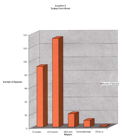 03. Turkey Point Shoal Phyla