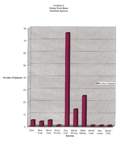 04. Turkey Point Shoal Species