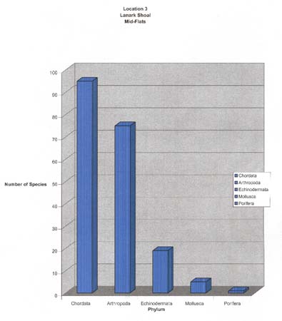 05. Lanark Shoal Mid-Flats Phyla