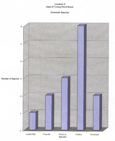 12. East of Turkey Point Shoal Species