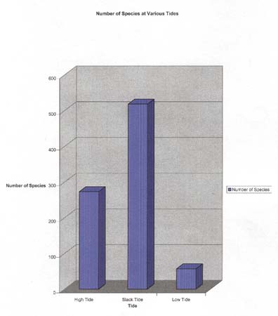 17. Number of Species at Various Tides