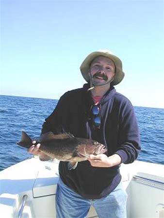 Fishing - Ave Grouper