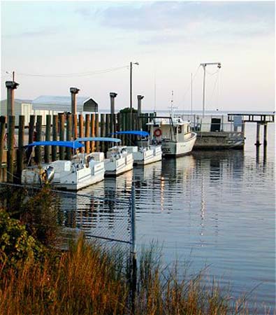 boat basin1