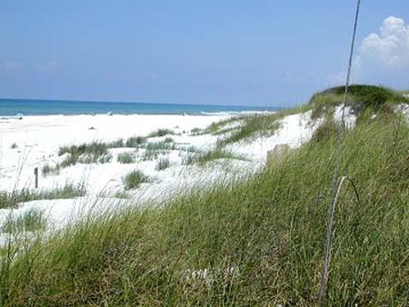 Cape San Blas - beach right