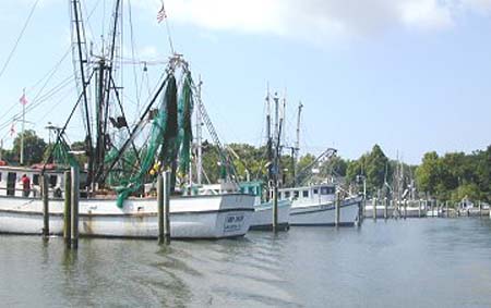 St. George Island - Scipio Ck harbor