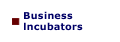 business incubators